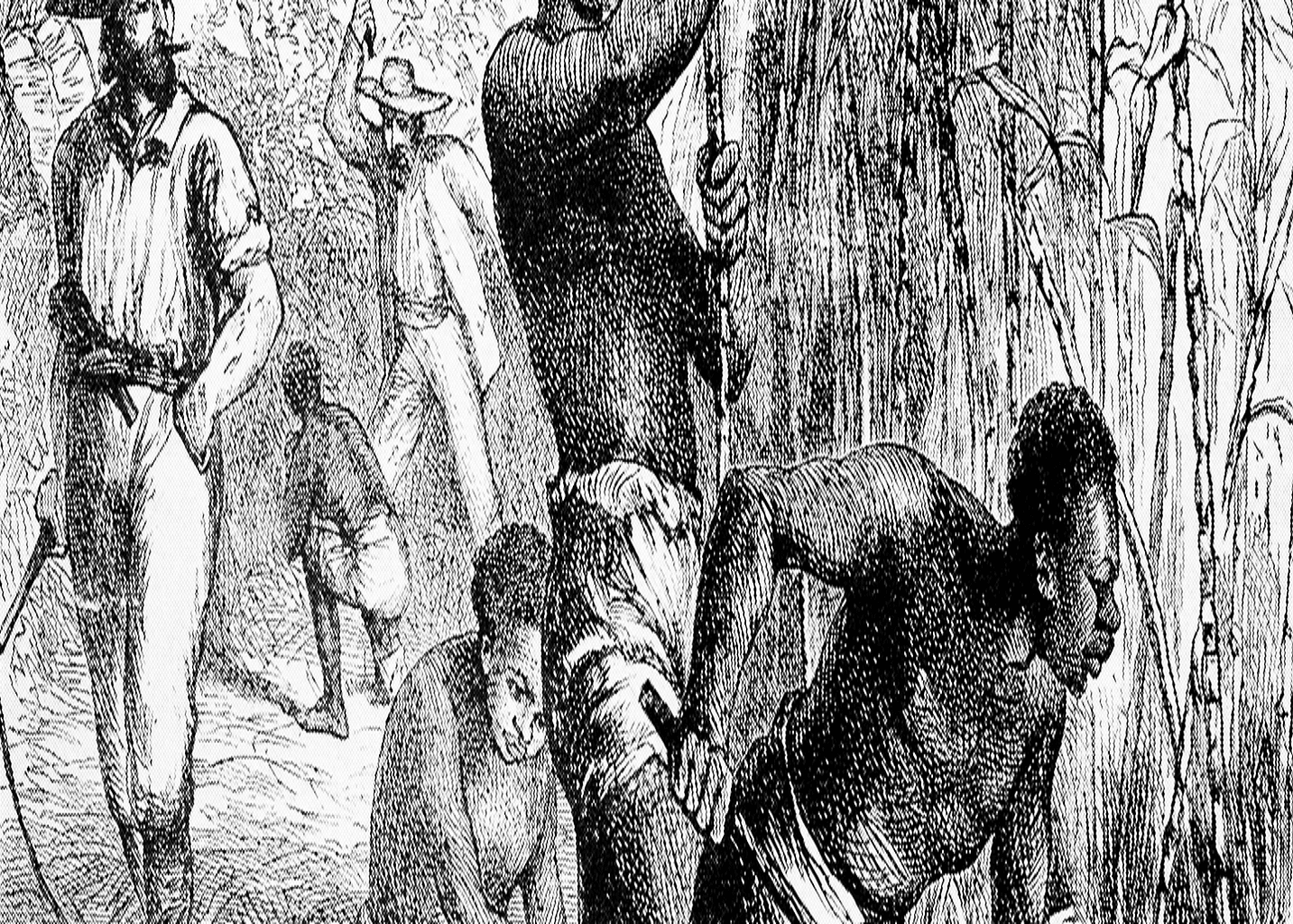 Historical engraving of enslaved people
